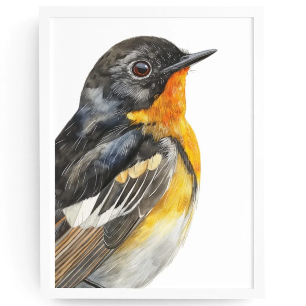 Watercolor American Redstart Bird Print Unframed - Wall Art Bird Illustration - Picture 1 of 6